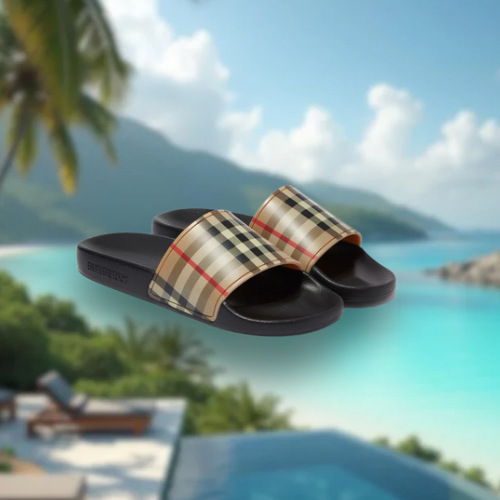BRBRY SLIDES